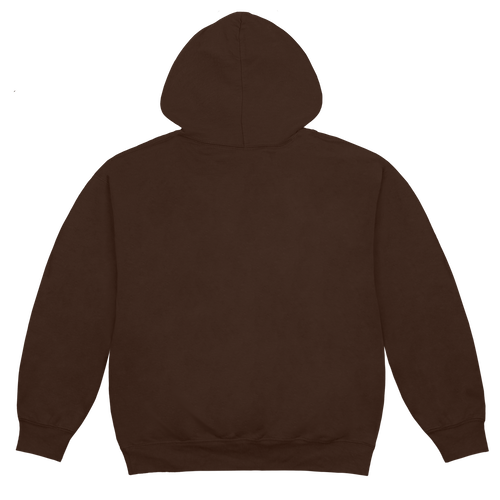 erewhon sport hoodie (brown)