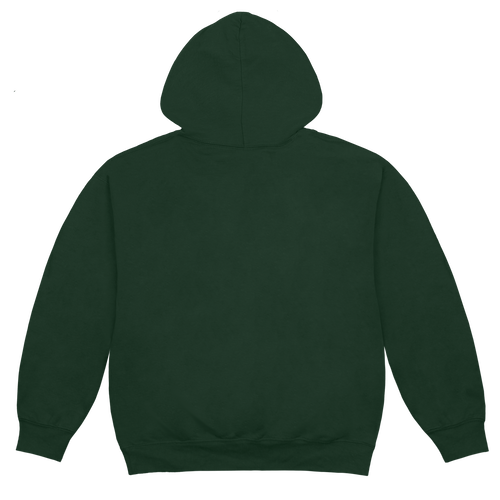 erewhon sport hoodie (green)